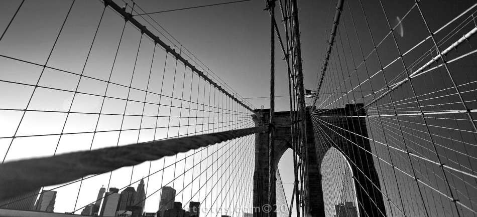 Web of Brooklyn Bridge