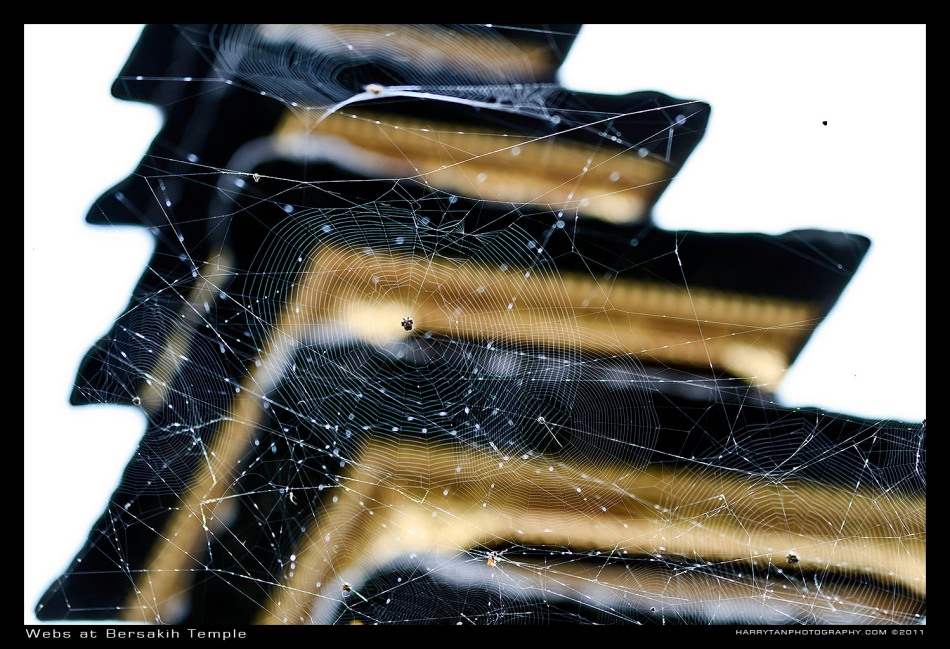 Webs at Bersakih Temples
