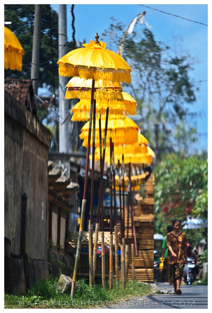 Golden Umbrellas